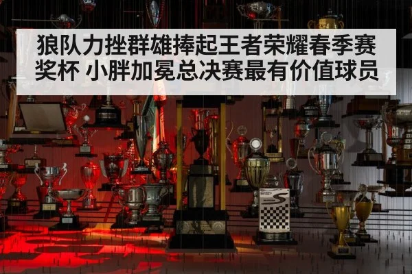 狼队力挫群雄捧起王者荣耀春季赛奖杯 小胖加冕总决赛最有价值球员